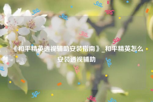 《和平精英透视辅助安装指南》_和平精英怎么安装透视辅助