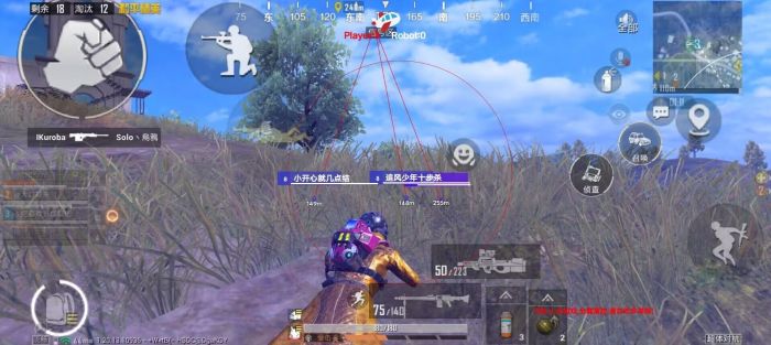 和平精英圣域辅助有什么用（和平精英辅助什么最好用）